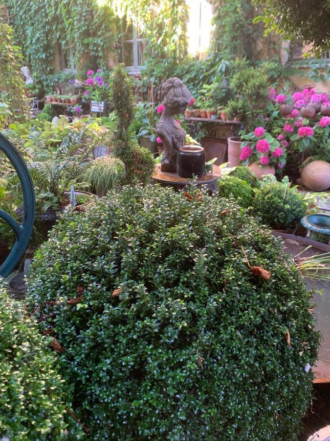 Apothekergaarden Stege B&B Eksteriør bilde