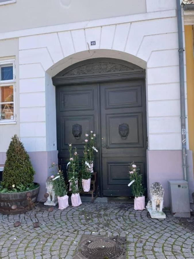 Apothekergaarden Stege B&B Eksteriør bilde